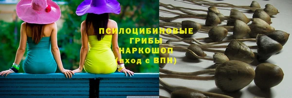 дмт Лихославль
