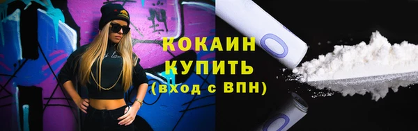 дмт Абаза