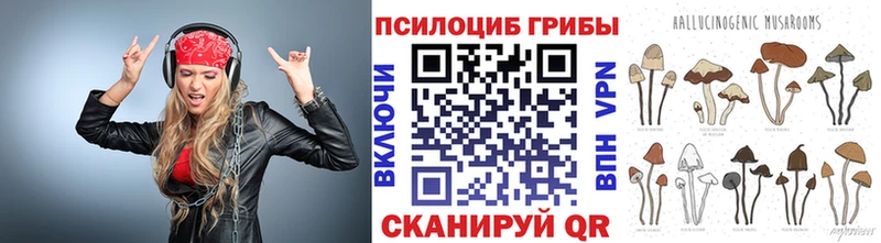 цена   Урус-Мартан  Галлюциногенные грибы Psilocybine cubensis 